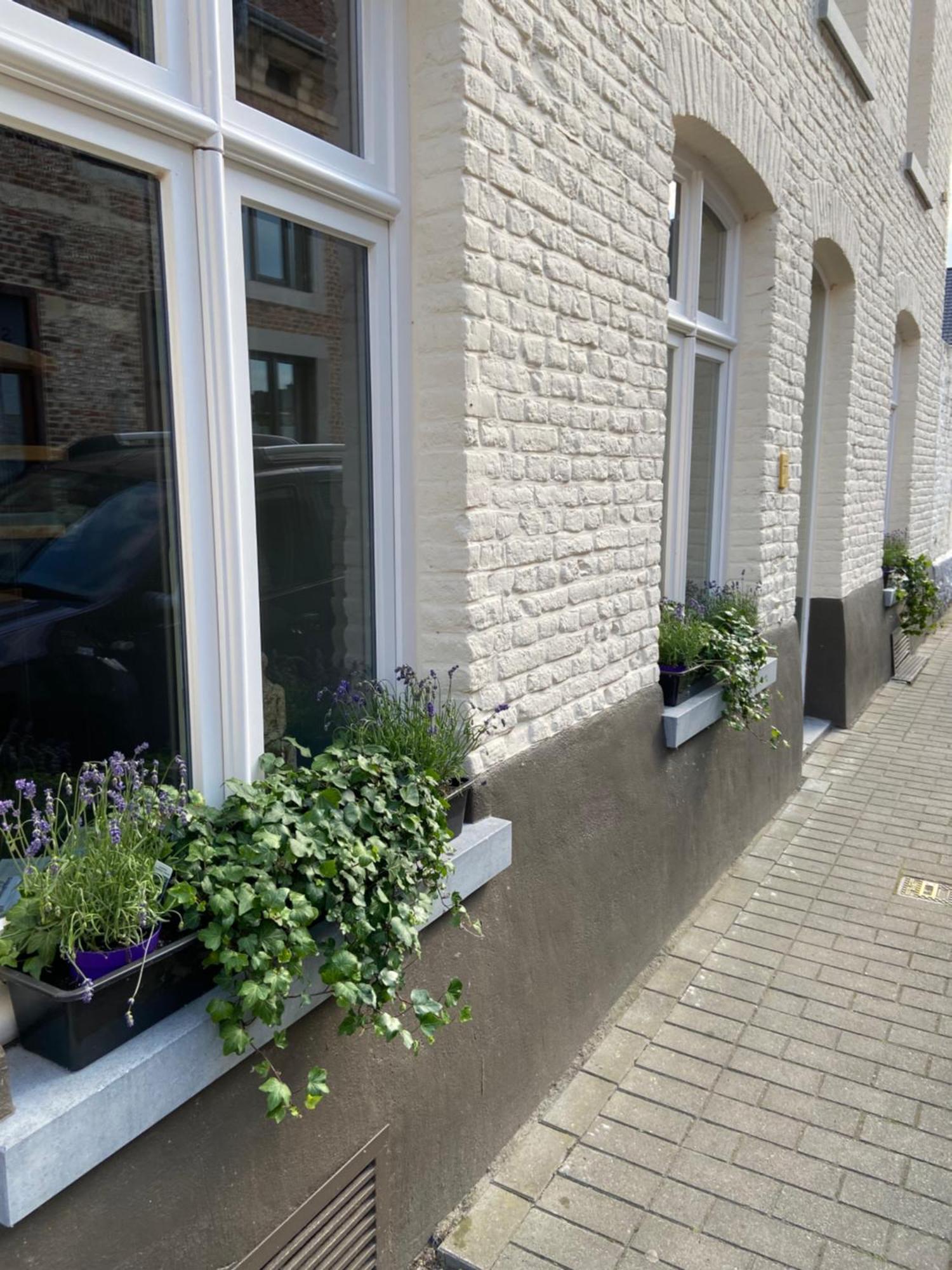 Begijnhofstudio'S Tongeren Esterno foto